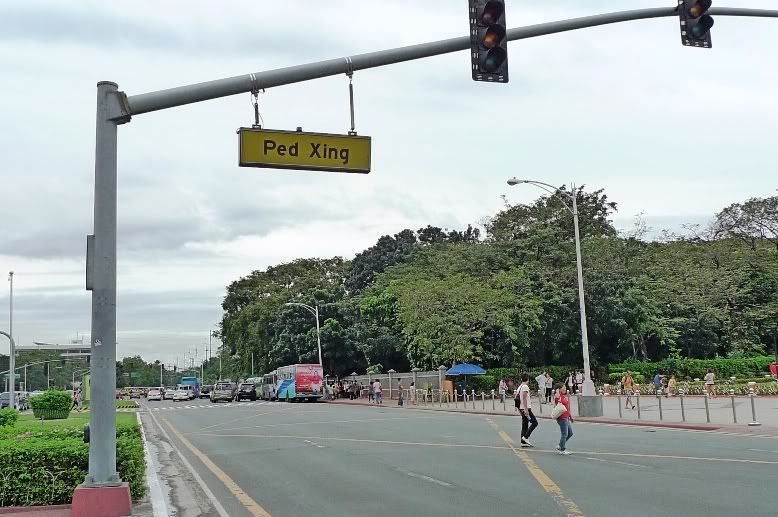 Ped Xing road sign